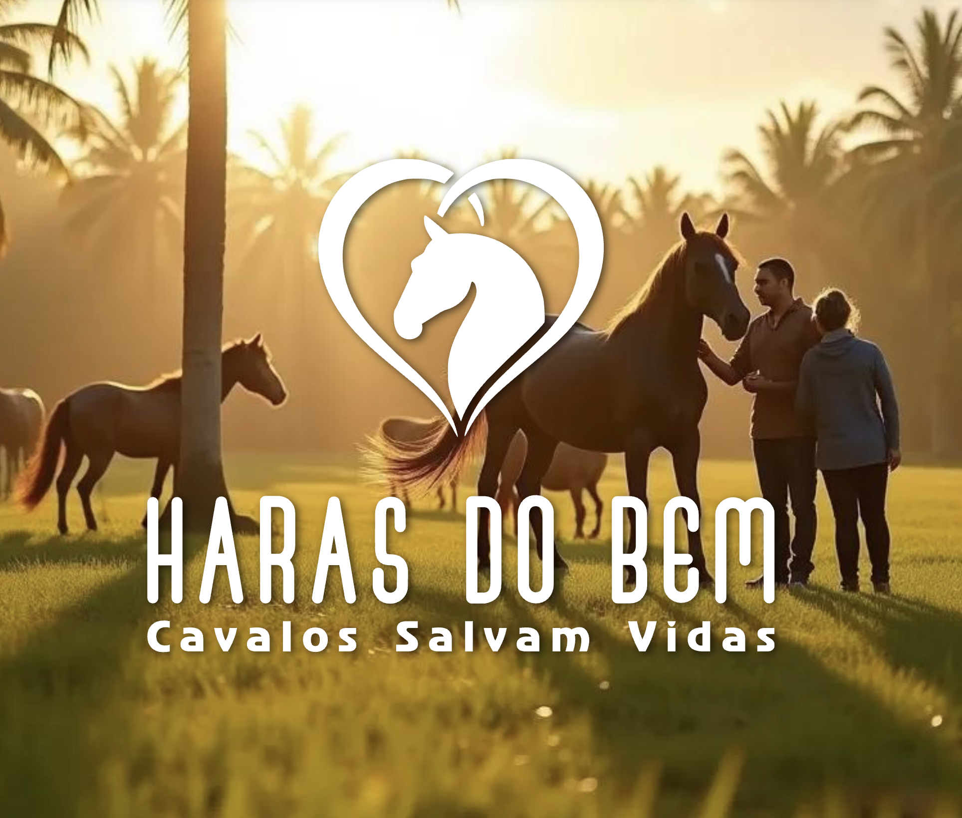 Imagem Banner